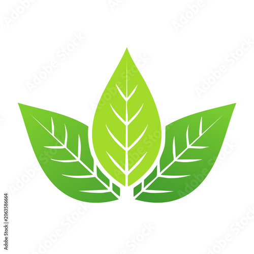 Three Green Leaves Icon on Transparent Background