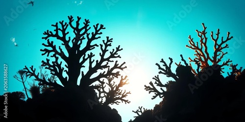 Intricate silhouettes of diverse coral species against a bright background,  underwater,   massive coral