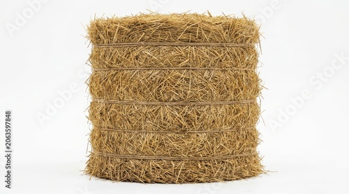 Obraz na płótnie Round hay bale isolated on white background