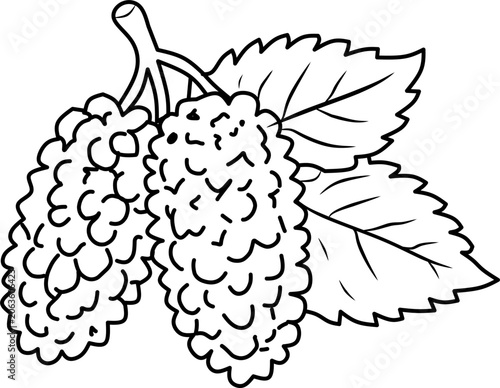 Simple mulberry fruit line art vector illustration featuring whole and clustered mulberries. Perfect for coloring books, educational materials, fruit themes, and printable projects.