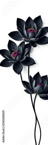 Flourish of four black lotus flowers on a white background with unique petal arrangements, vector illustration, elegant illustration