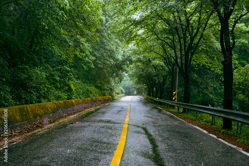 Bild auf Leinwand 비 오는 날 산속 도로
 mountain highway on a rainy day
