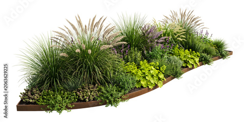 Modern Landscape Garden Bed Arrangement with Ornamental Grasses and Perennials Isolated on Transparent Background