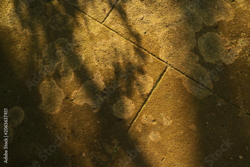 Textured abstract stone paving surface with organic lichen growth and soft tree branch shadows casting a moody golden hour light across the ground