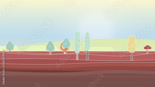 Tree-lined field backdrop backdrop with, mixed woodland trees, and horizon haze