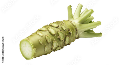 Fresh wasabi root isolated on transparent background