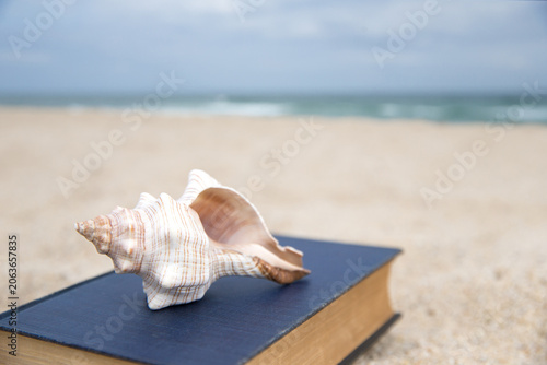 Foto Enjoy reading and relaxing at the beach