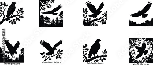 Konstfotografi Bird of Prey Silhouette Bundle Eagle Hunting Motion Forest Vector Set