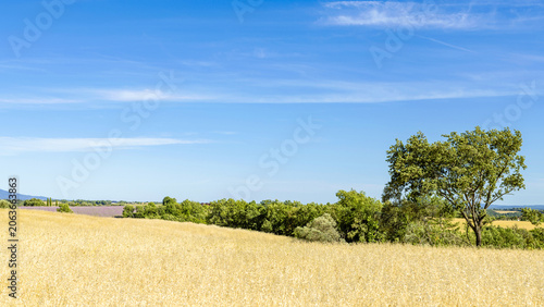 Paysage printanier des Alpes de Haute-Provence