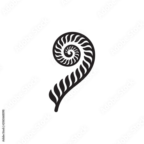 Black and white of a single fern frond spiral, unfurling plant shoot isolated on a plain white background
