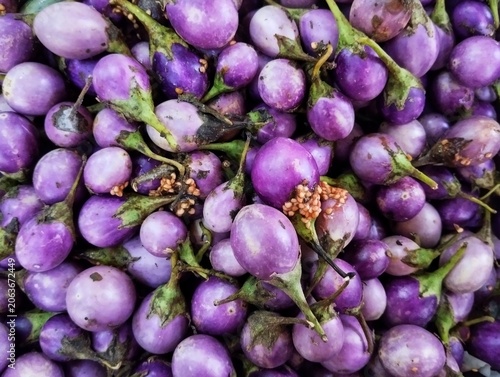 Fresh purple Thai eggplants