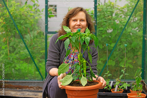 Portrait with a 'Hot bannana chilli' plant.