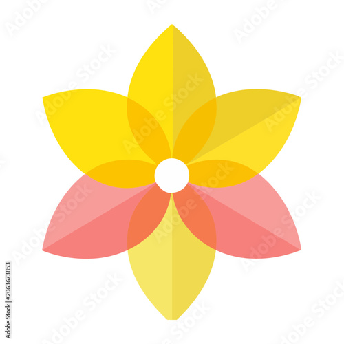 Flat design yellow and pink flower vector