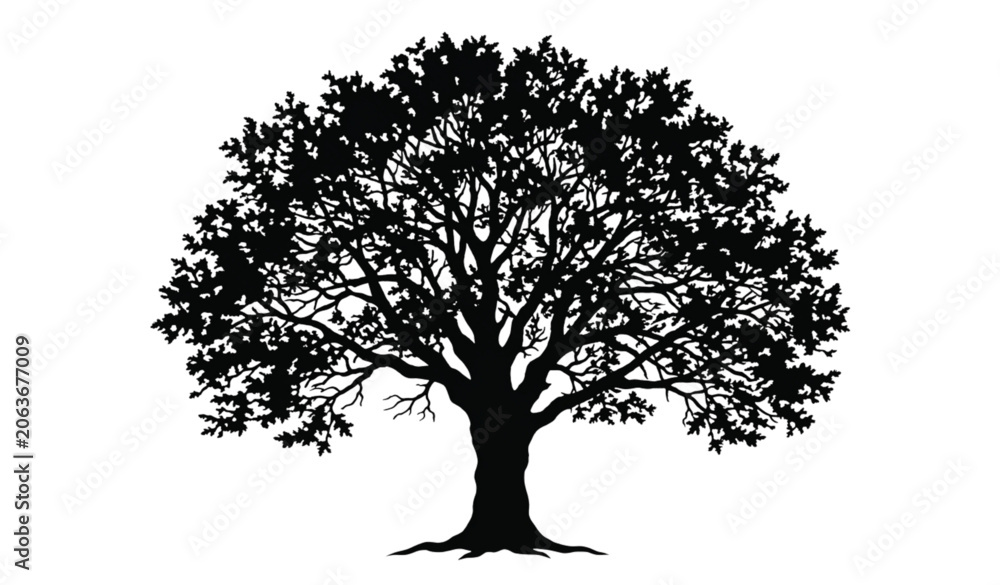 Fototapeta premium Realistic Black Tree Silhouette Icon Set Isolated Nature Forest Vector EPS 10
