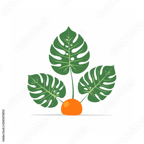 Maple leaf and fruit vector illustration