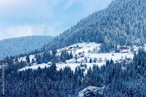 Snow-Covered Mountain Village and Evergreen Forest