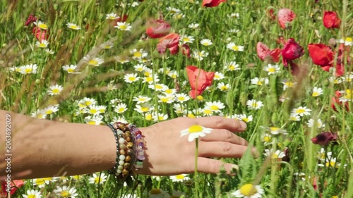 Woman wearing energy healing bracelets feeling the energy of nature in a field of flowers.