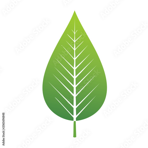 Flat design maple leaf icon