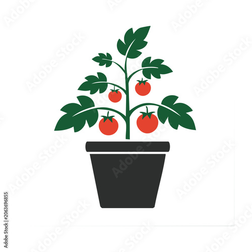 Flat design potted tomato plant vector