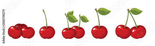 Vector illustration of cherry berries and bunches of cherry isolated on a white background.
