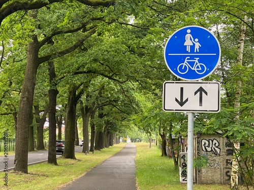 Gemeinsamer Geh- und Radweg in grüner Allee. Verkehrsmotiv für nachhaltige Mobilität, Radfahren, Fußgänger, Stadtplanung, Umweltschutz und sichere Verkehrswege.
