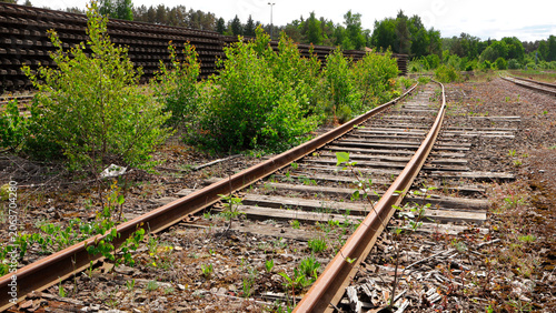 Abandoned railway tracks curving into the distance, showing signs of disuse and decay with green plants growing between the sleepers and rusting rails