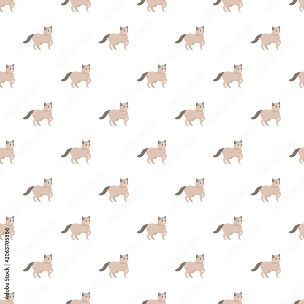 Obraz premium Adorable domestic cat animated pattern repeating endlessly on a white background
