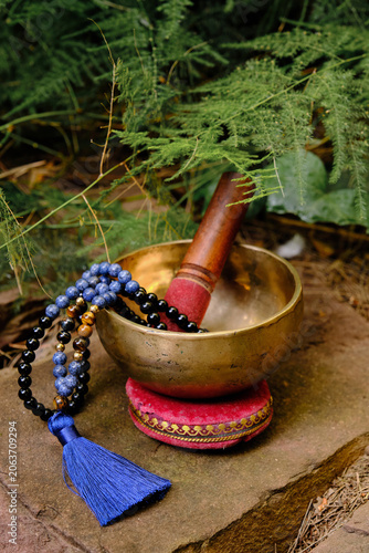 Tibetan singing bowl with rosary mala