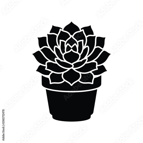 Succulent In Pot Silhouette On White Background