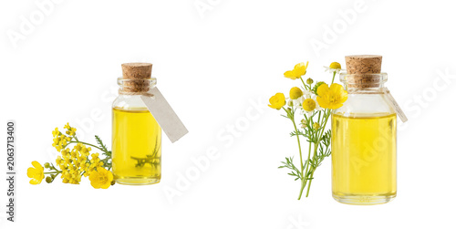 Two glass bottles with yellow essential oil and fresh wildflowers isolated on transparent background