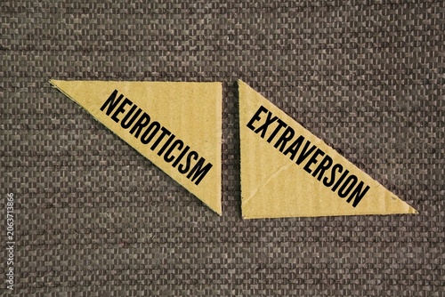 Obraz na plátně Two words Neuroticism and extraversion