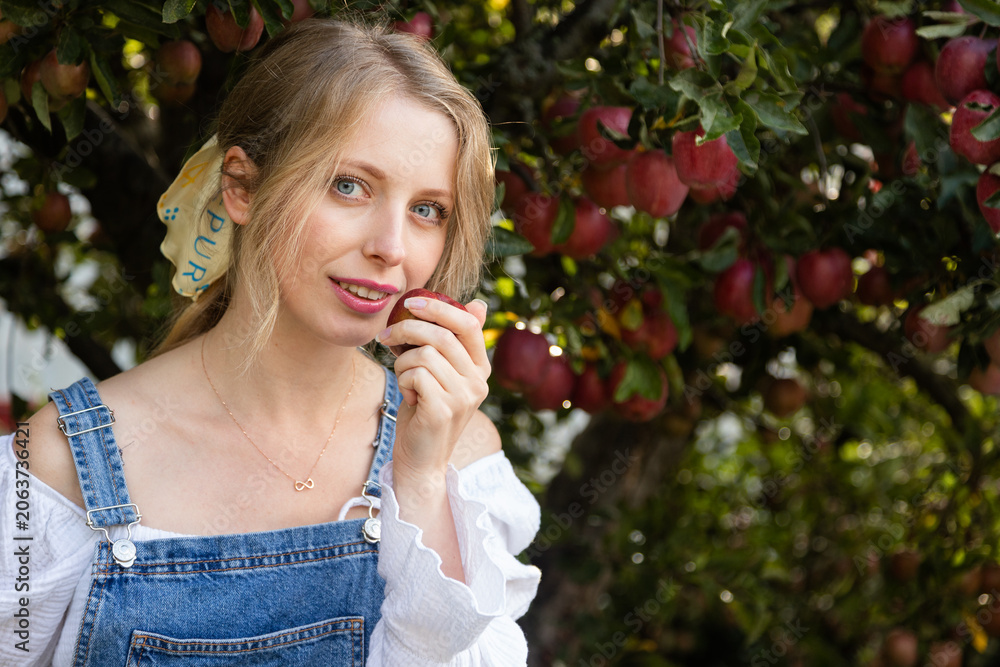 Fototapeta premium Young woman eating fresh red apple in orchard during sunny autumn harvest season