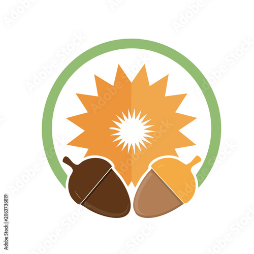 Flat design sun with rays and face