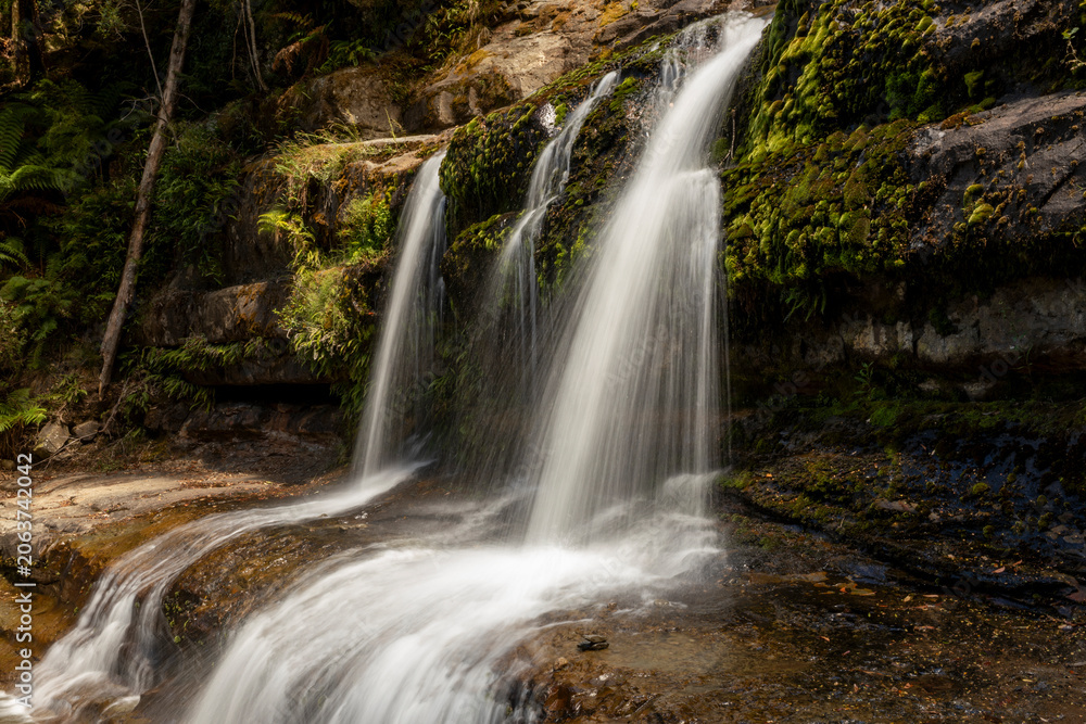Obraz premium waterfall in the forest