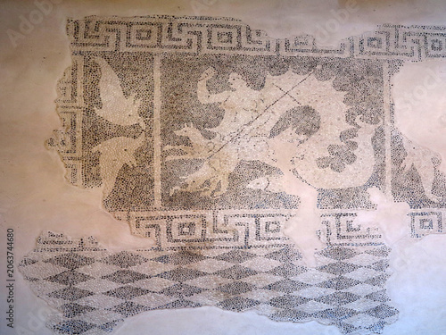 17.06.2025, Paphos, Cyprus: Ancient mosaic in the archaeological park