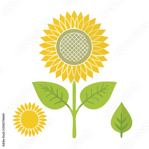 Flat design sunflower vector illustration