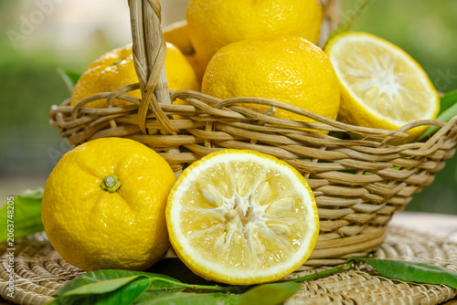 Photos Fresh Sweet Yuzu Orange fruit in wooden basket over blur greenery background, Yellow Yuzu for beverage marketing, citrus-flavored product branding, and premium food packaging design