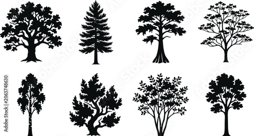 Konstfotografi Tree Silhouette Collection with Deciduous, Evergreen, and Ornamental Landscape T