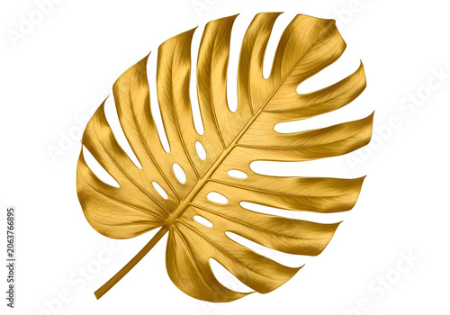 A beautifully detailed golden monstera leaf with intricate vein patterns
