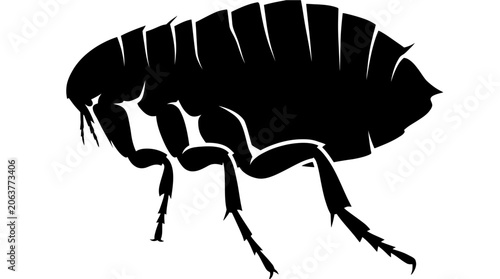 Flea Insect Silhouette Side View.