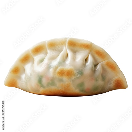 Single Delicious Pan-Fried Gyoza Dumpling with Crispy Golden Bottom.