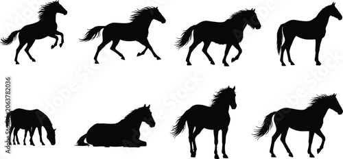 Photos Black silhouettes of horses in dynamic poses including rearing, galloping, grazi