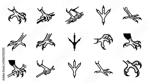 Photos Detailed illustration of various animal feet and claws in different positions