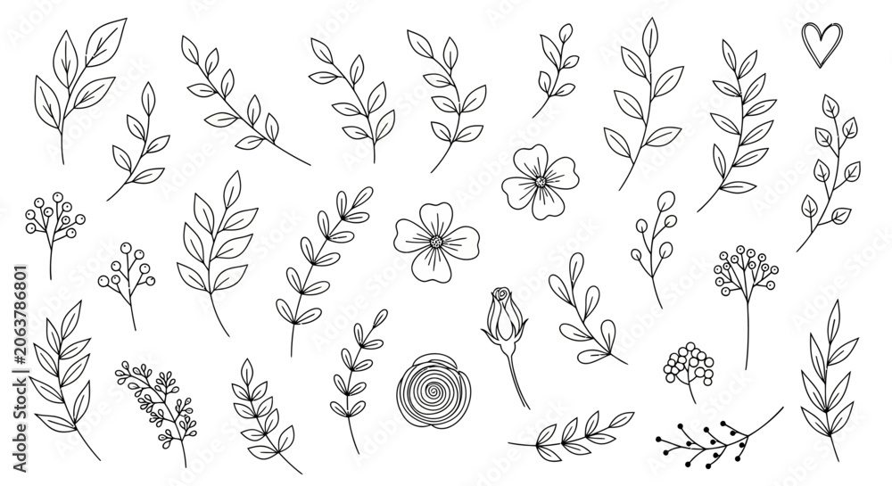 Fototapeta premium Botanical illustrations of flowers and leaves, minimalist line art, decorative elements