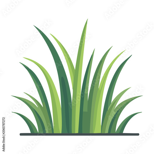Snake plant flat design isolated on transparent background