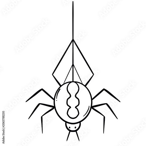 spider and web