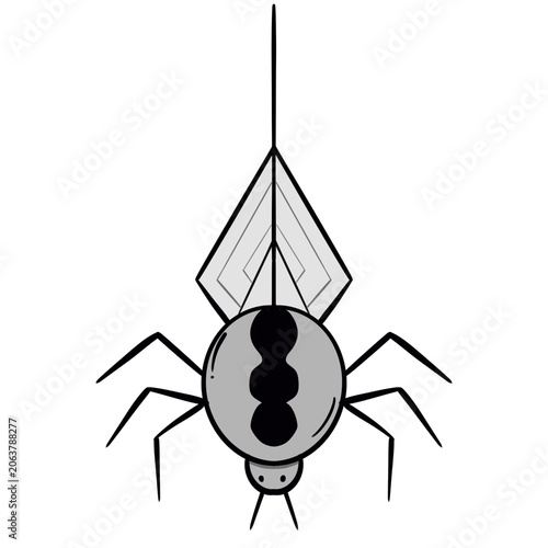 spider web vector