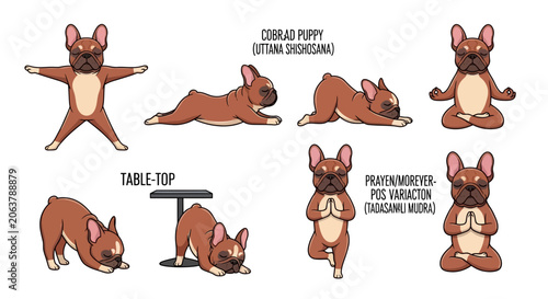 Corgi puppy yoga poses, table top, various stretching exercises, cartoon dog illustrations