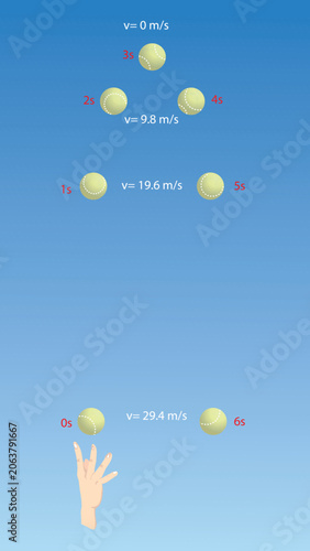 Tablou pe pânză Vertical projectile motion diagram with velocity values