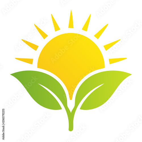 Flat design sunflower icon